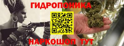 трава Сланцы