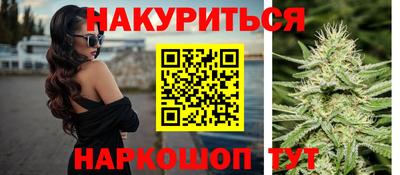 трава Сланцы